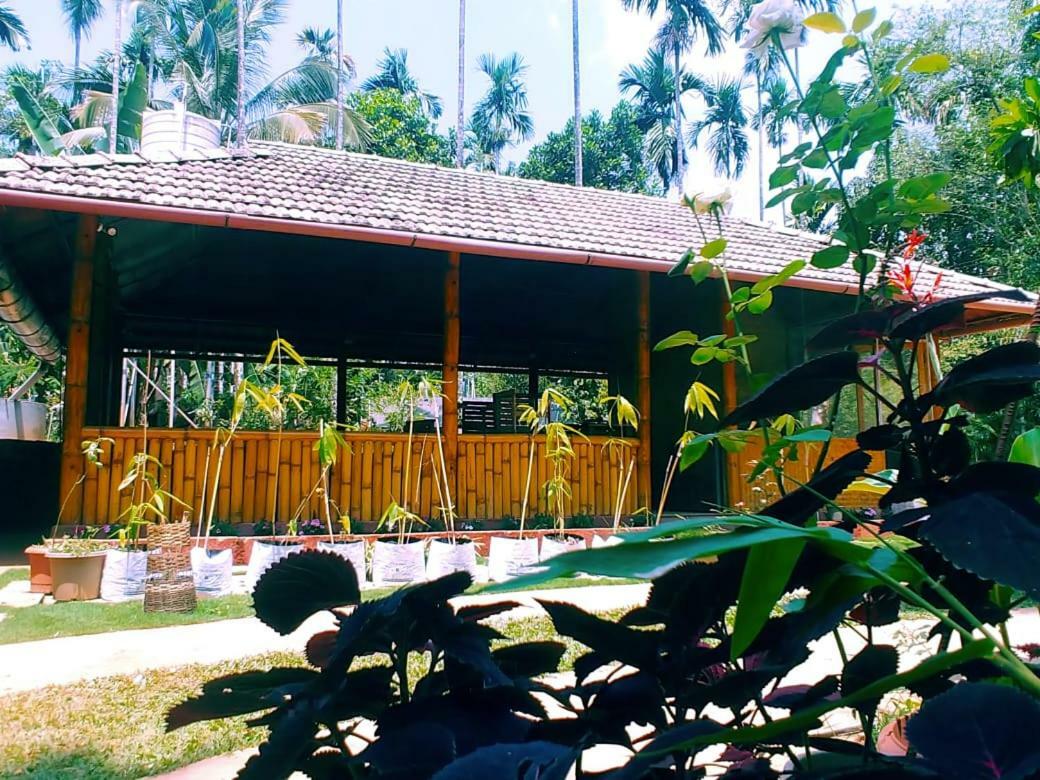 Misty Mornings Resort Ambalavayal ภายนอก รูปภาพ