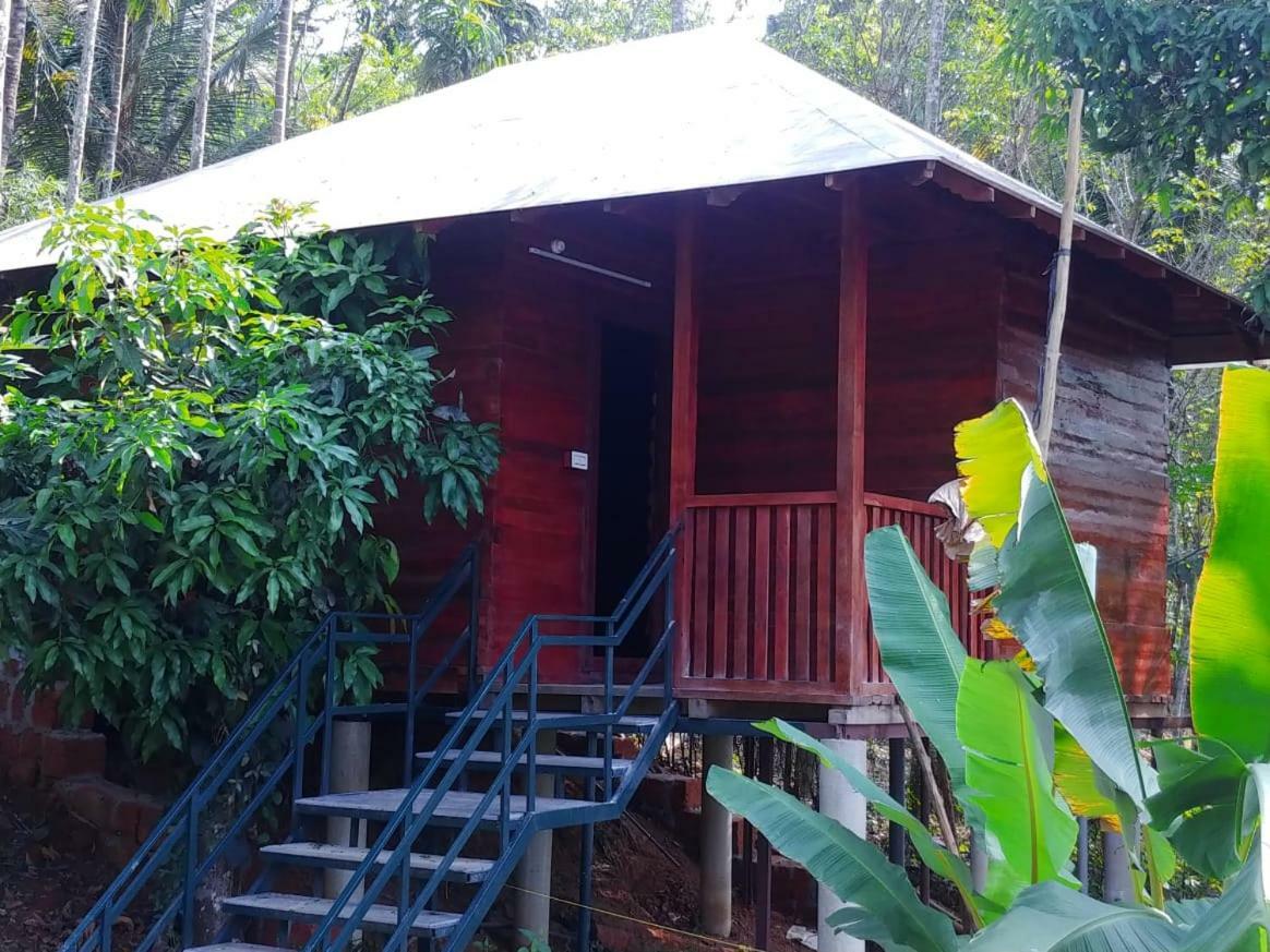 Misty Mornings Resort Ambalavayal ภายนอก รูปภาพ